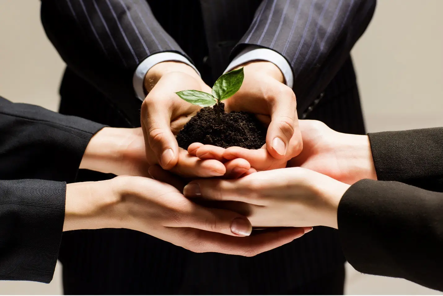 Professional_Development